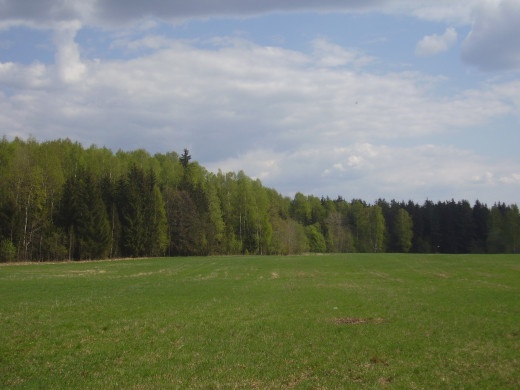 436576 (a): :2560x1920